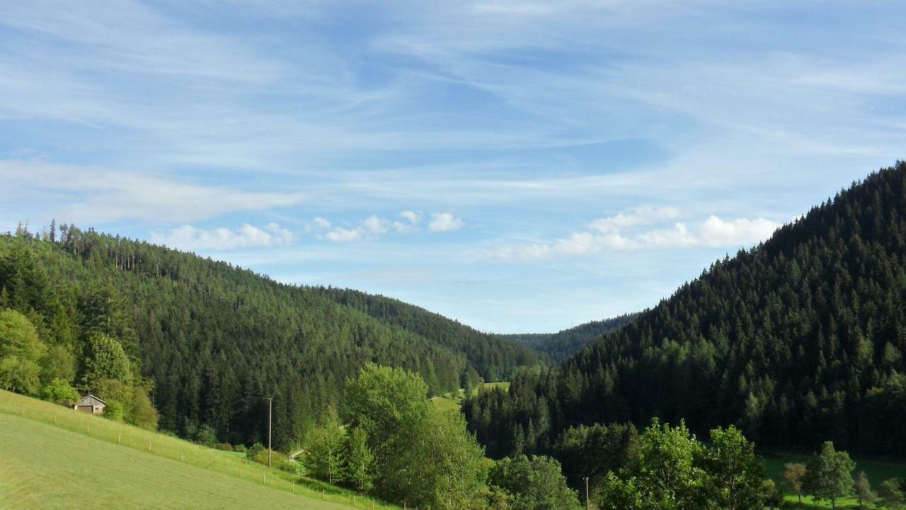 Ferienwohnung Kaufmann Baiersbronn Esterno foto