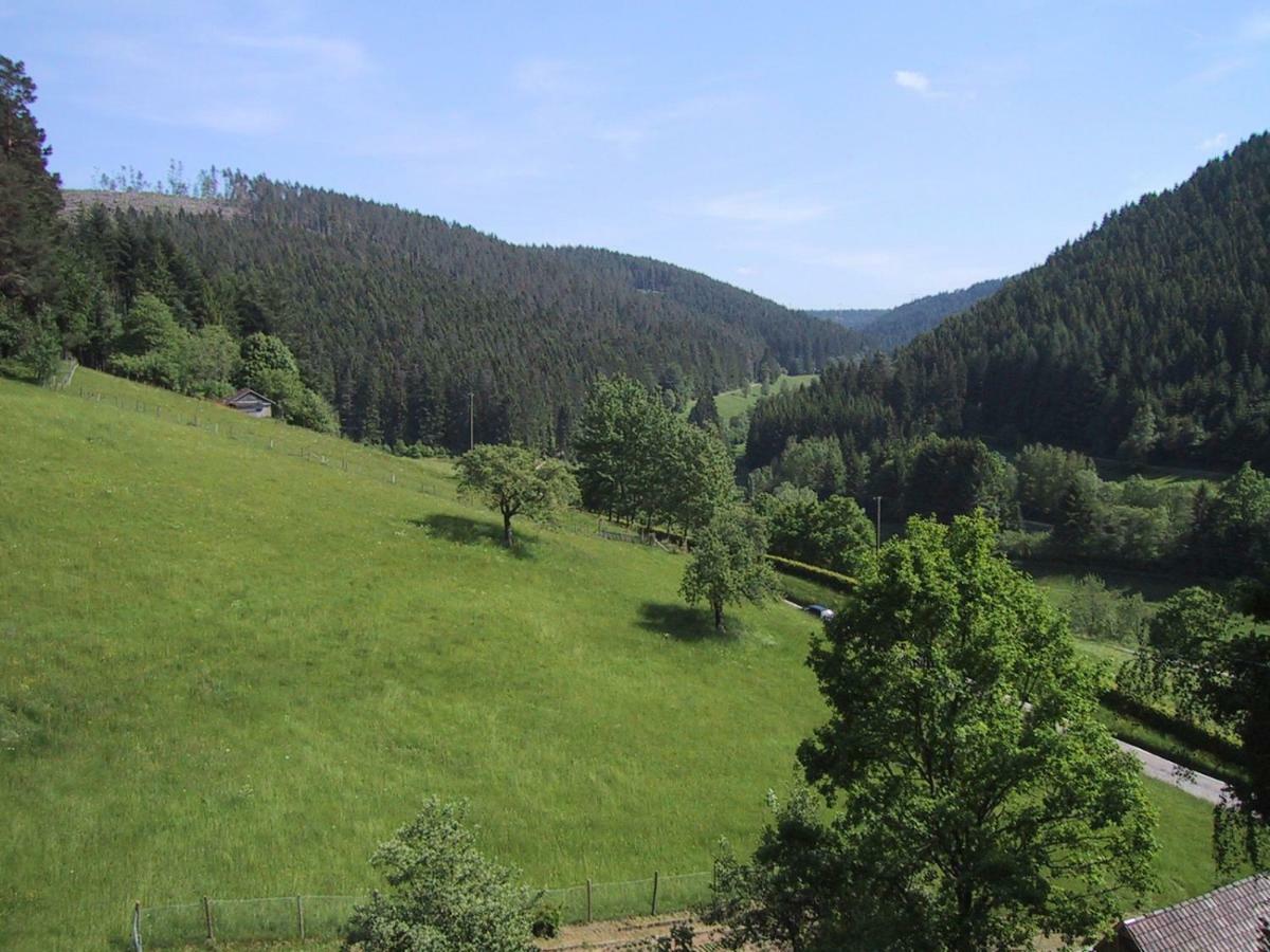 Ferienwohnung Kaufmann Baiersbronn Esterno foto
